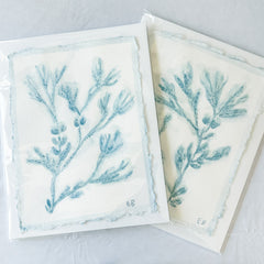 Blue Sea Kelp No. 4