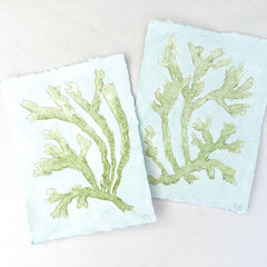 Chartreuse Seaweed No. 1