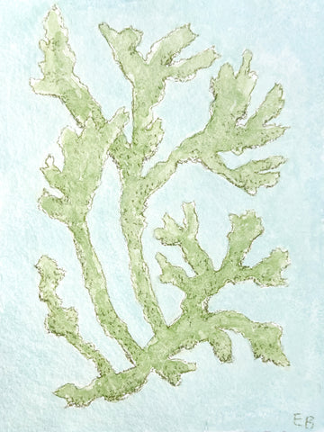 Chartreuse Seaweed No. 2