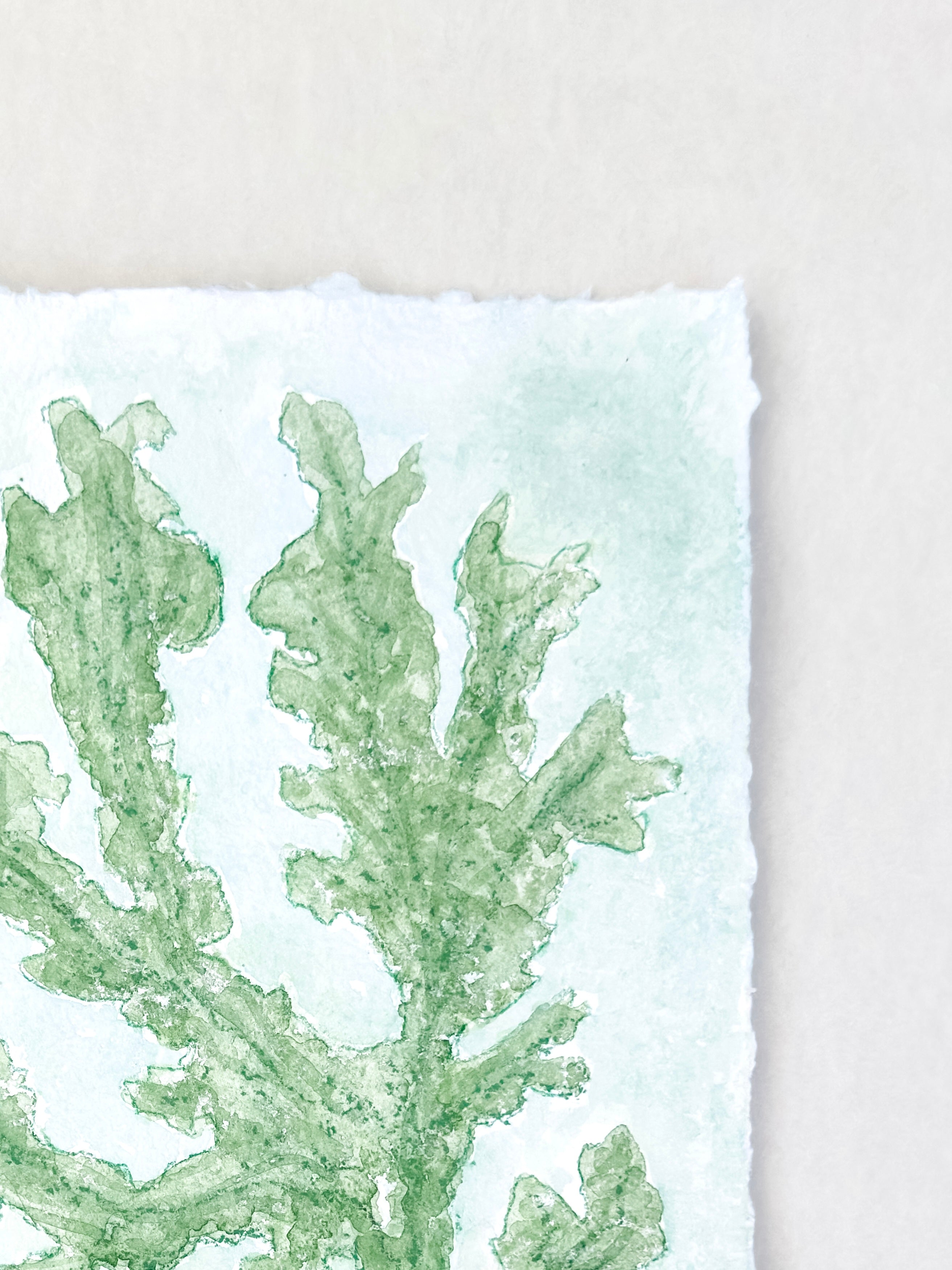Green Seaweed No. 1