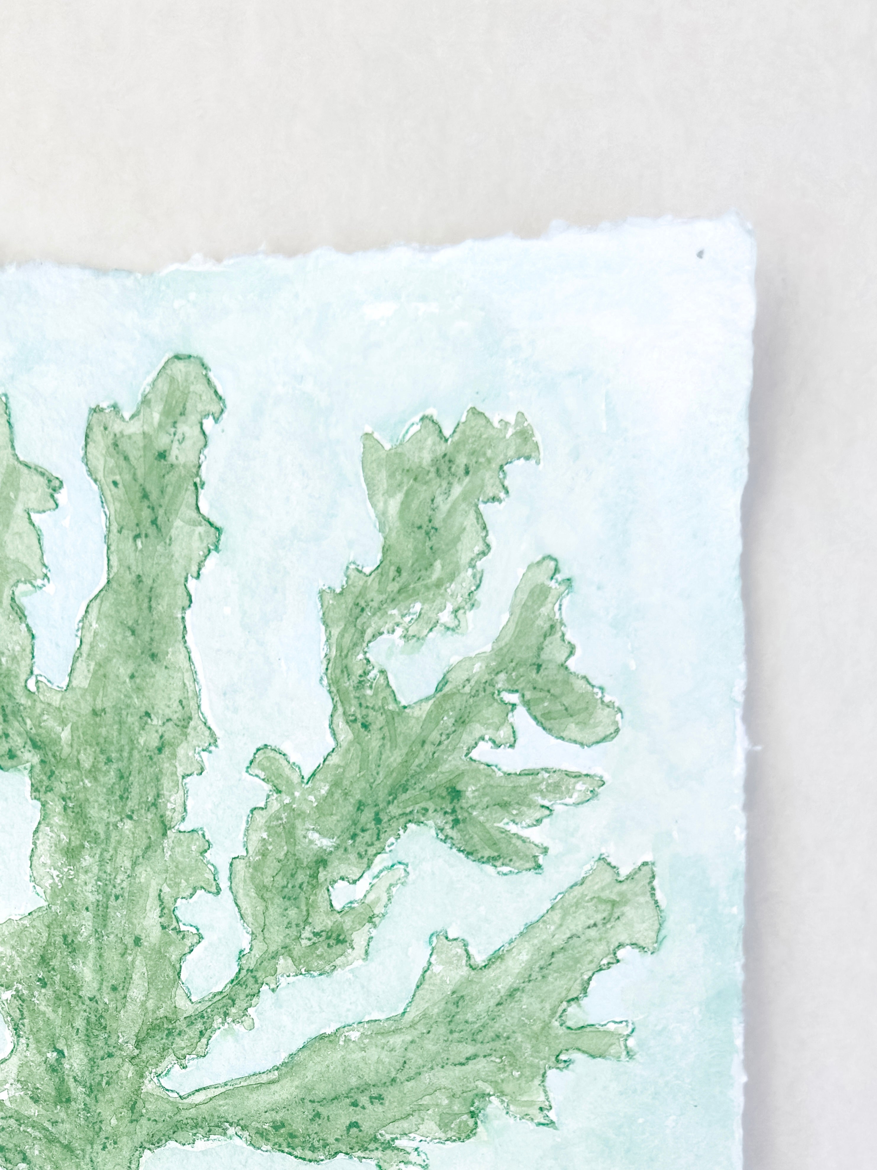 Green Seaweed No. 2