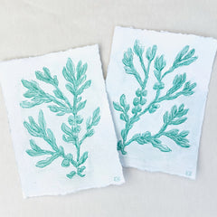 Viridian Seaweed No. 2