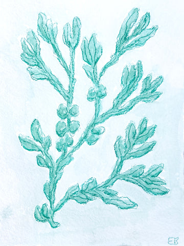Viridian Seaweed No. 2