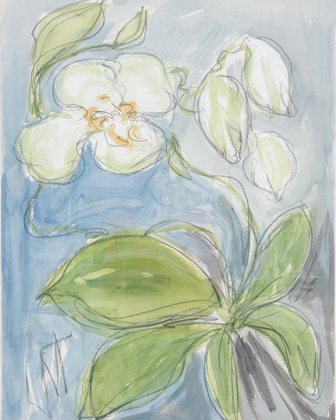 Wild Orchid II