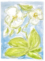 Wild Orchid No. 7