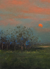 Evening Landscape Study