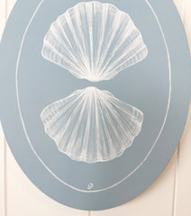 Fan Shell Reflection