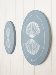 Fan Shell Reflection