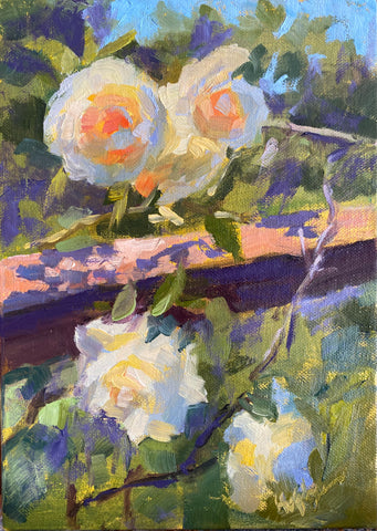 Fenceline Roses