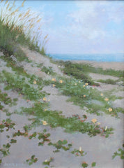 Hazy Days of Summer