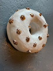 Starlight Donut 1