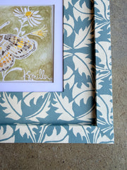 Butterflies 035