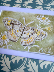 Butterflies 035