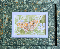 Butterflies 032