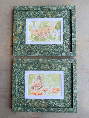 Butterflies 032