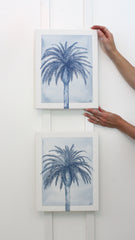 Indigo Palm IV