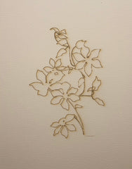 Clematis