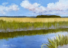 Cruising the Ace Basin