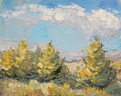 Evergreens in Sunlight