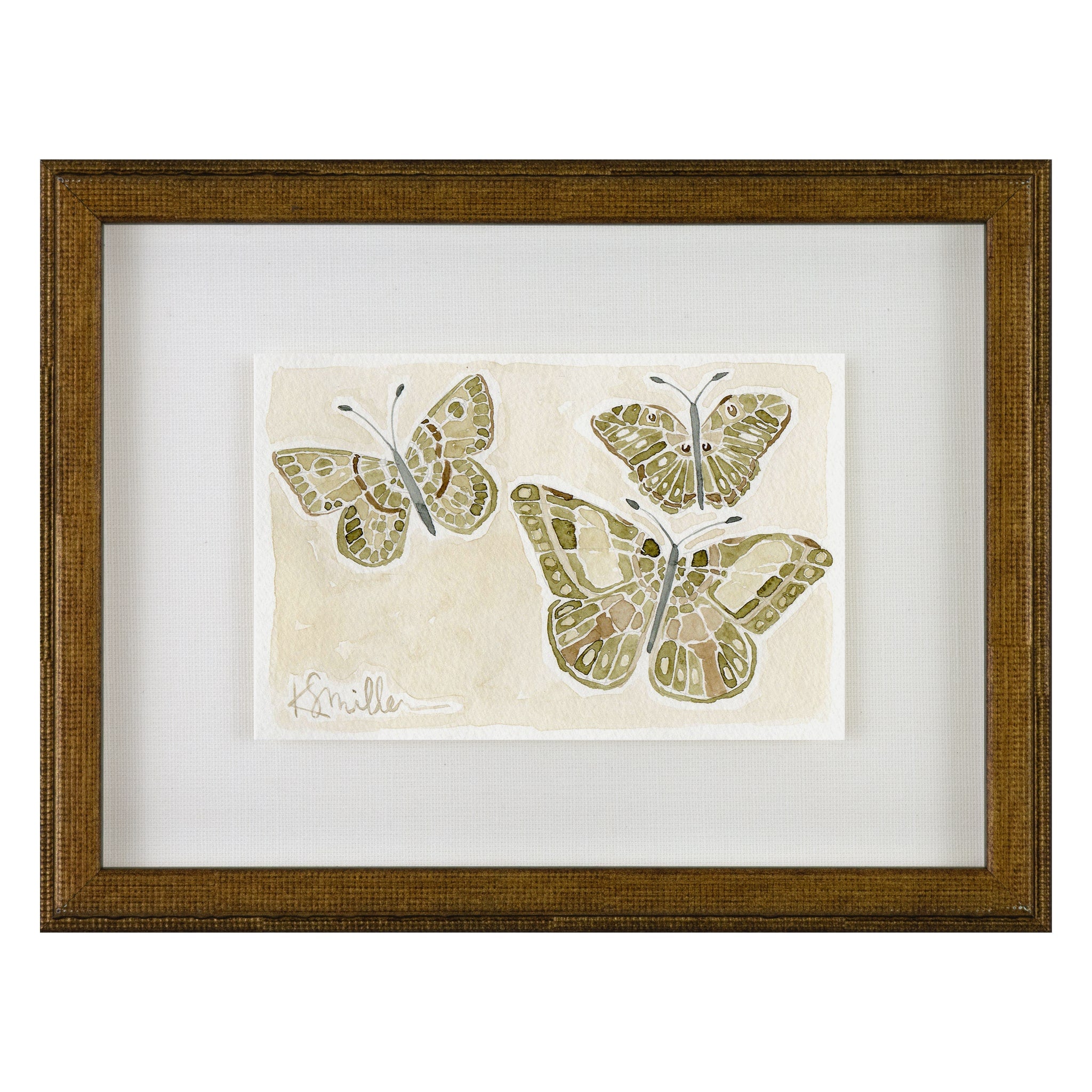 Butterflies 011