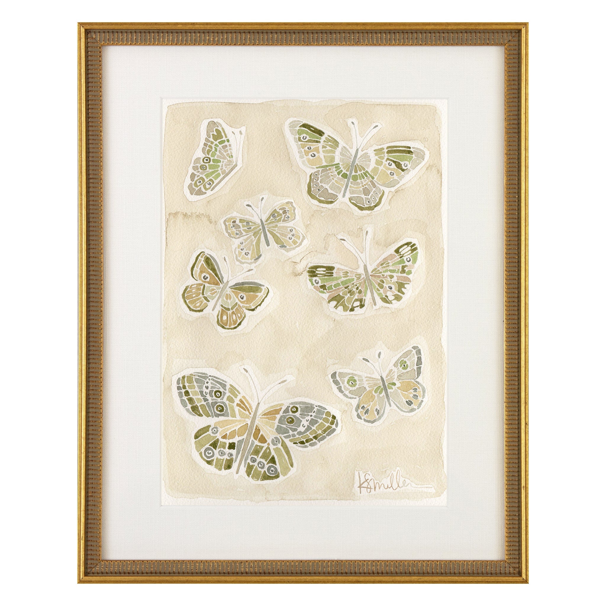 Butterflies 016
