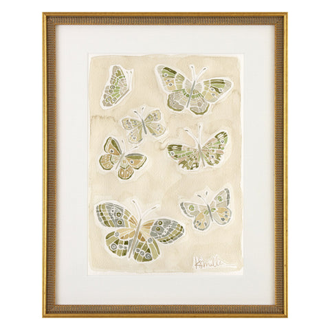 Butterflies 016
