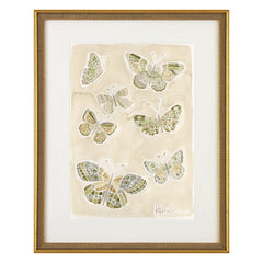 Butterflies 016