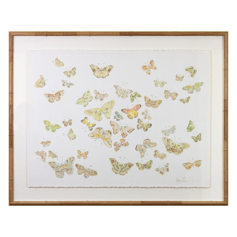 Butterflies 01
