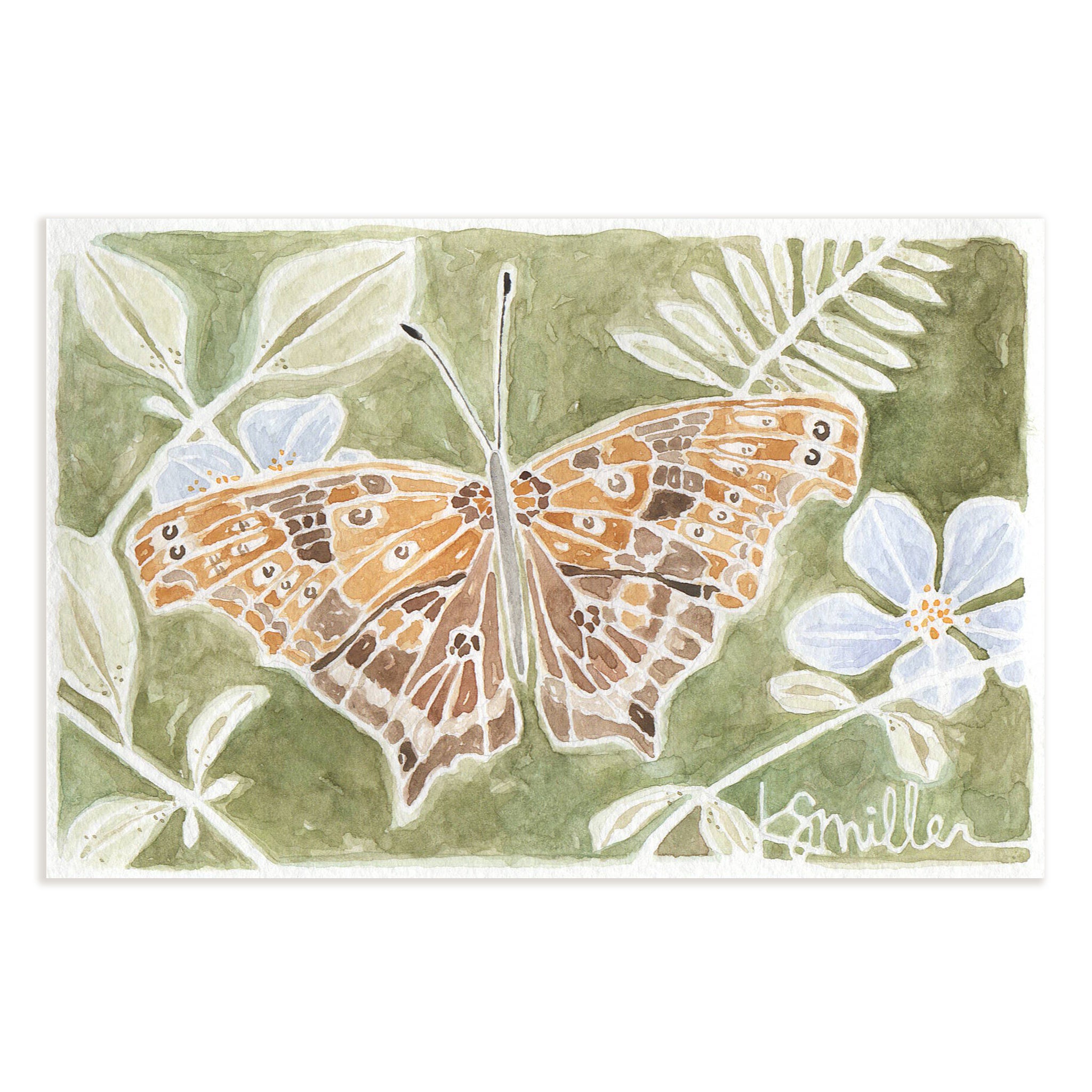 Butterflies 032