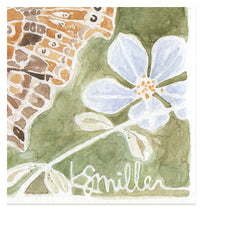 Butterflies 032