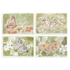 Butterflies 032