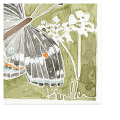 Butterflies 033