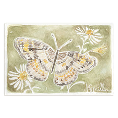Butterflies 035