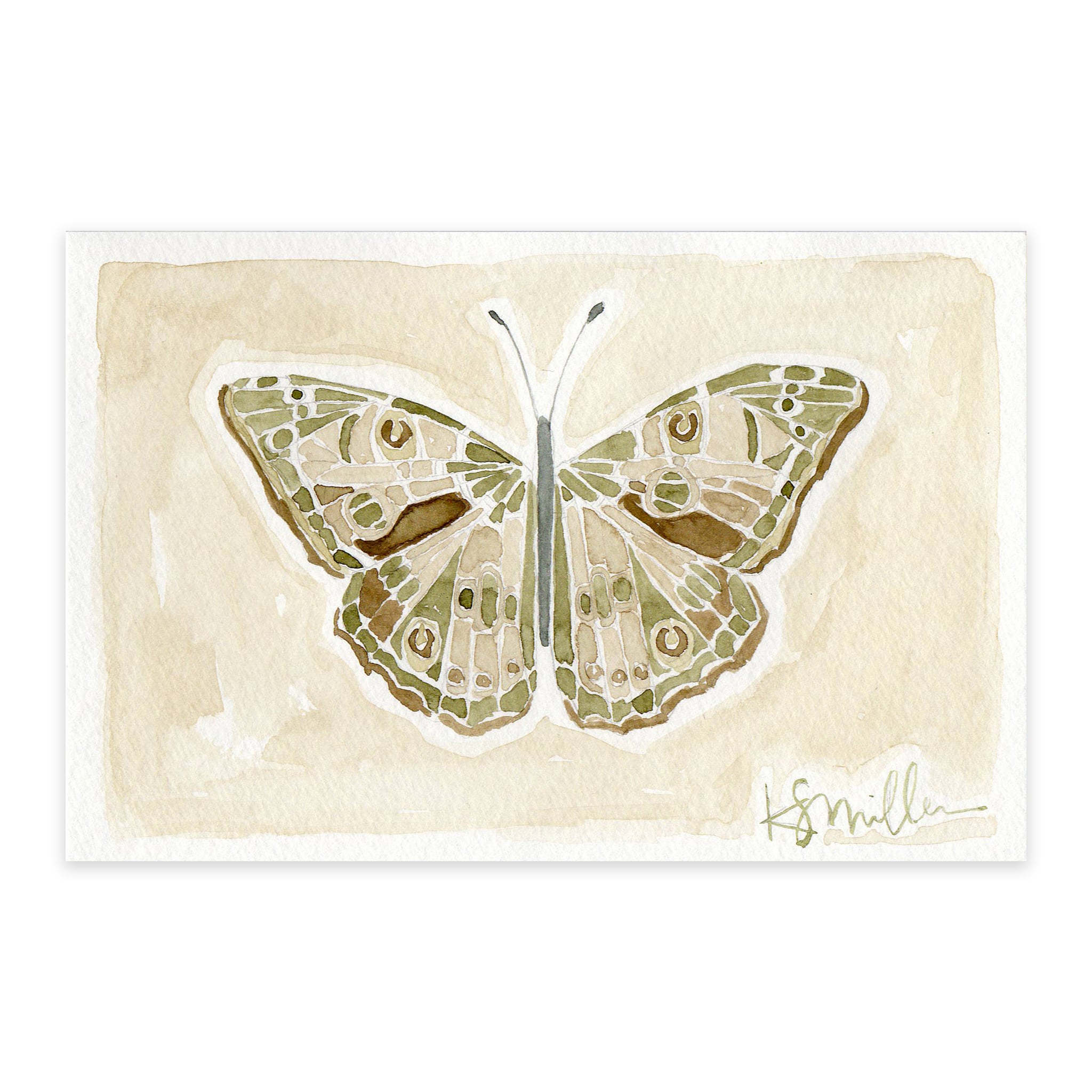 Butterflies 06