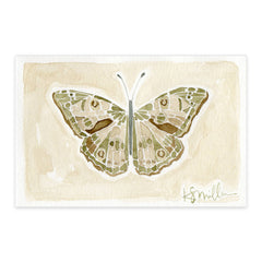 Butterflies 06