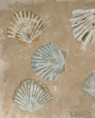 Scallop III