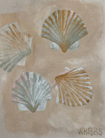 Scallop IV