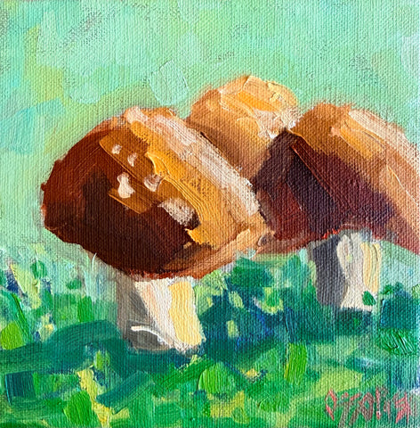 Mushrooms 1