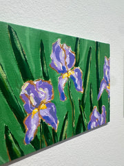 Among the Iris