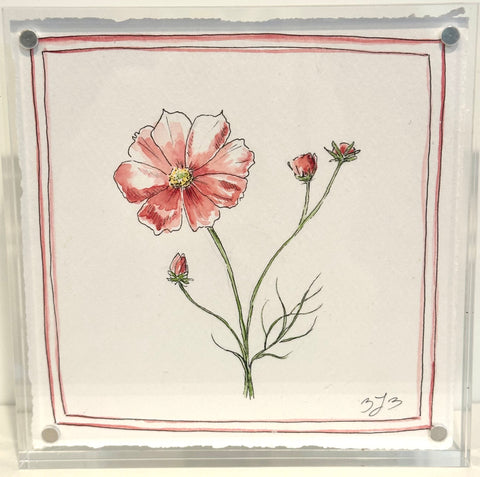 Cosmos