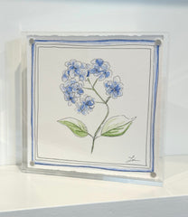 Hydrangea