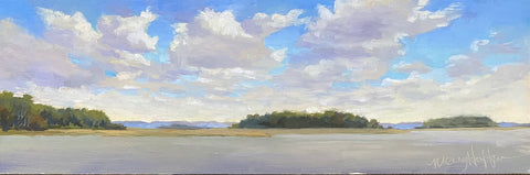 Lowcountry Expanse