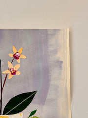 Orchids in the Morning