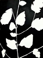 Wandered Through the Trees 2