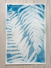 Ostrich Ferns (Pale)