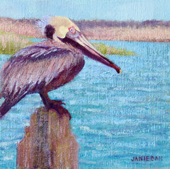Pelican