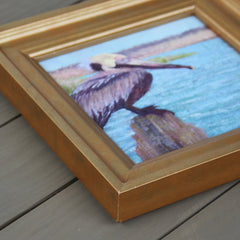 Pelican