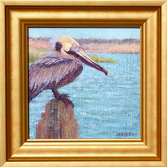 Pelican