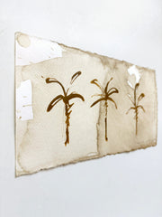 Palms on Coffee IV