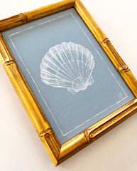 Petite Scallop Shell on Dusty Blue II